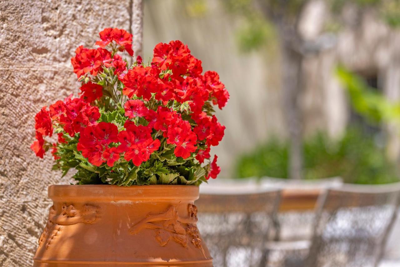 Sala Historical Luxury Apartment Rhodes City